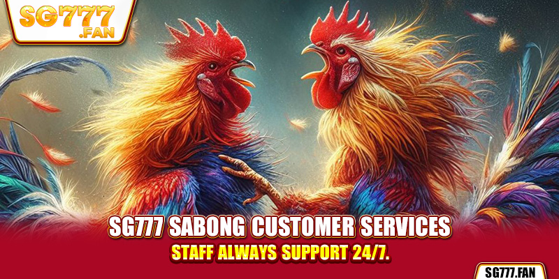 SG777 sabong customer services staff always support 24/7.