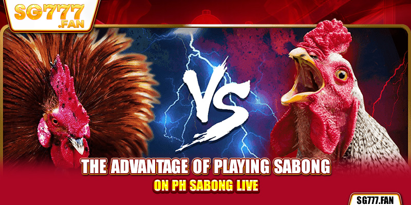 The advantage of playing sabong on ph sabong live.